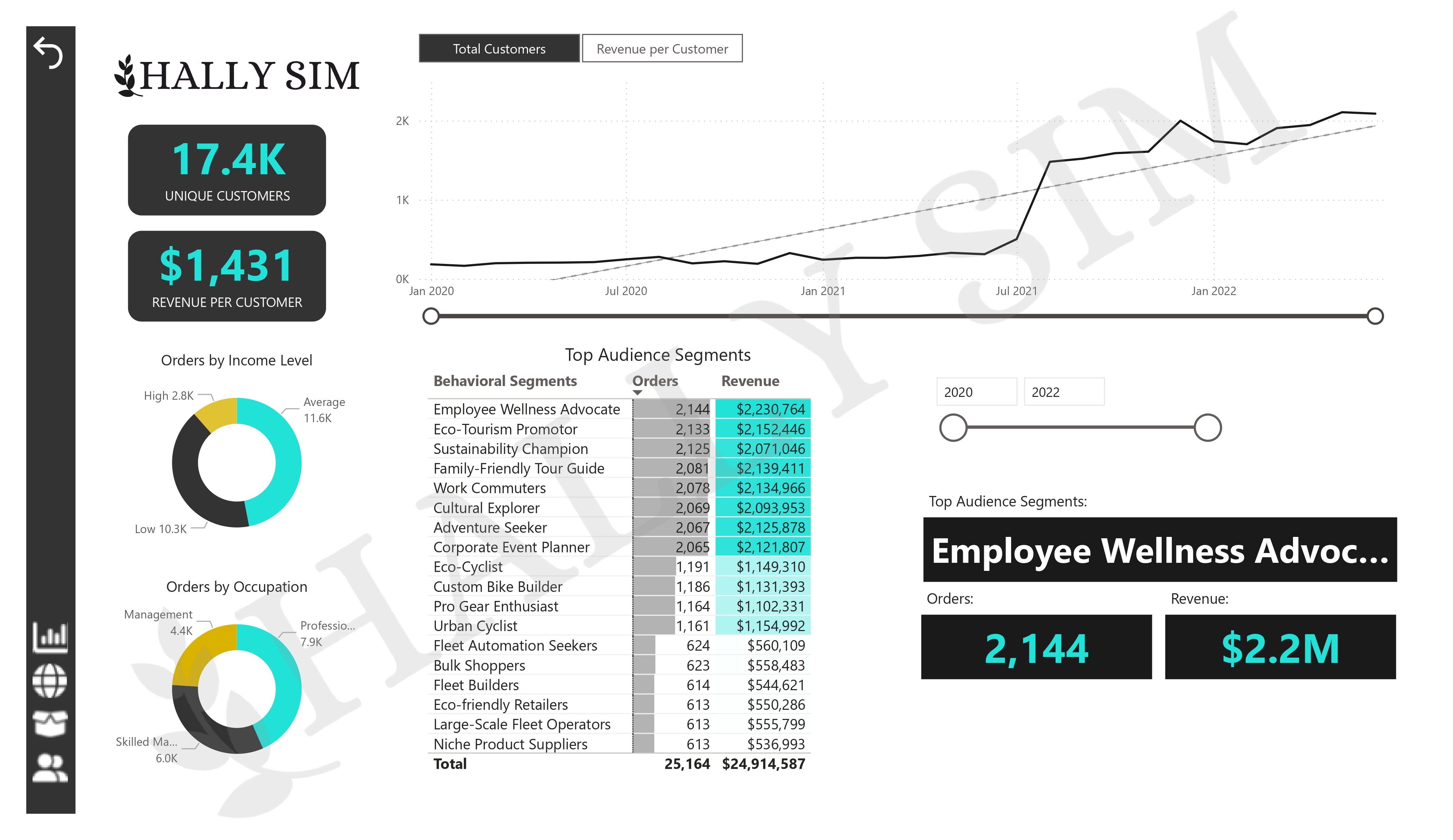 customer insights